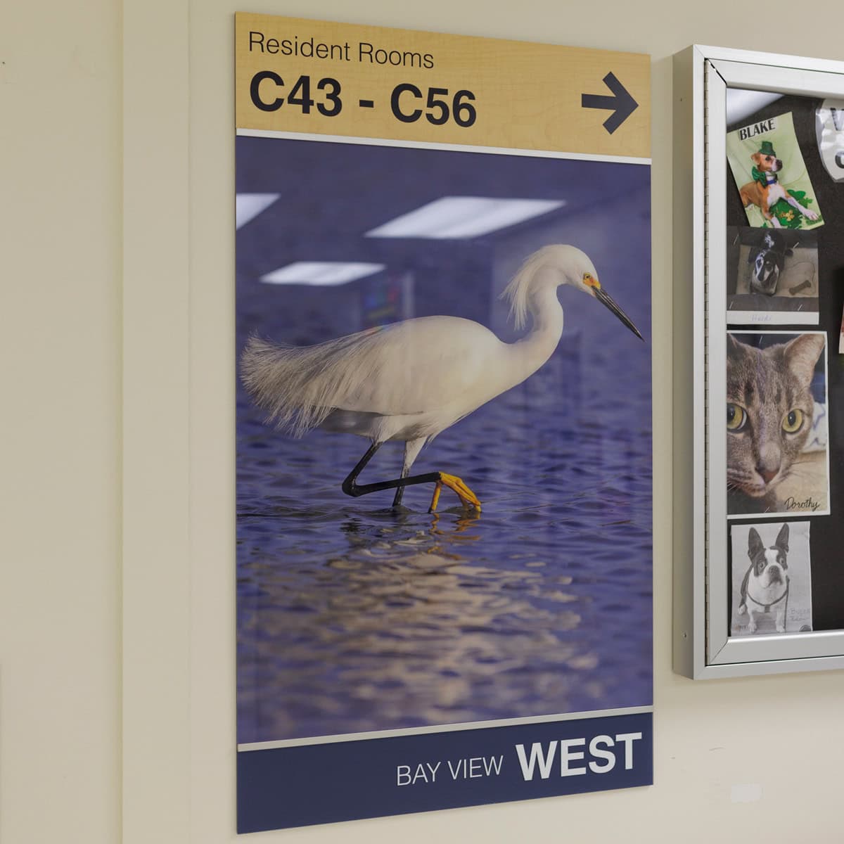 Sign with CLC Neighborhood Branding & Imagery